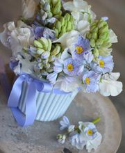 Marie Paolini image 2