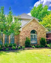 Sundrop Gardens Landscaping image 12