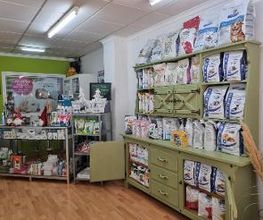 Centro Veterinario Ifach imagen 14