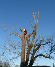 Gwezenn Elagage SARL image 8