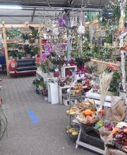 PflanzenWunder Bild 3