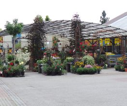 Gartenpflanzen und Zubehör