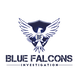 Blue Falcons Investigation