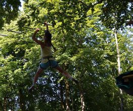 Leman Forest image 2