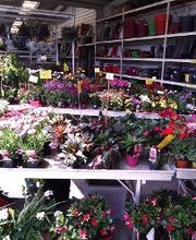 Bricomarché Commercy image 7