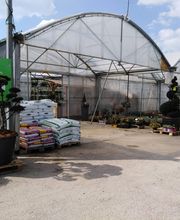 Hanriot Fleurs image 11