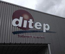 D.I.T.E.P image 2