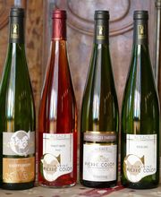 Colon Pierre SCEA image 17