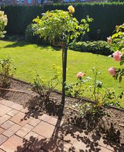 Hausmeisterservice Engel Bild 6