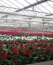 SCEA DE BEAUNE image 8