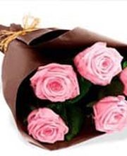 Jardins Divers image 5