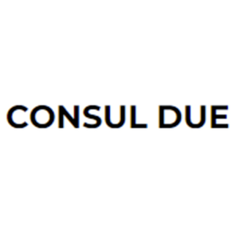 Consul Due logo