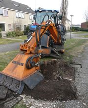 Boomverzorging Bouwmeester