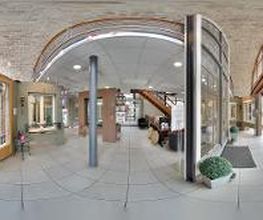 Lorenove Paris image 5