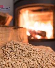 SCHMIDvivendi - Michael Schmid Bild 1