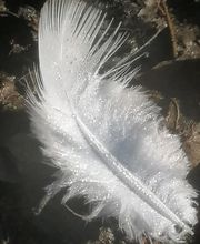 Maureen Voyance image 4