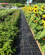 Agroservice Huber AG Bild 11