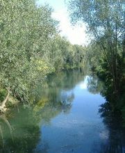 Agence Prestige Immobilier image 4