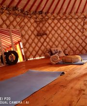 CENTRE SHENYU image 10