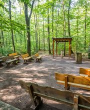 FriedWald Kirchheimbolanden Bild 8