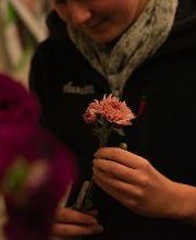 Frischmärit Bichsel (Blumen, Früchte & Gemüse) Bild 10