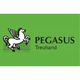 Pegasus Treuhand Urs Vögele Beratungen GmbH