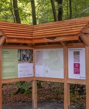 FriedWald Ostfriesland Bild 7