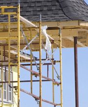 Dehaumont Thierry image 2