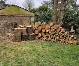 Arbres et Cimes image 4