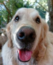 Martin Hofmann Bild 18