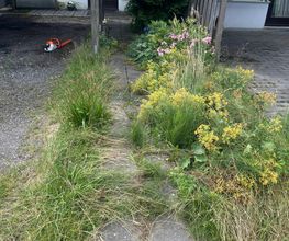 Haus-&Gartenservice Rose Bild 28