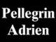 ETS PELLEGRIN & FILS