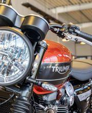 Triumph Bordeaux image 14
