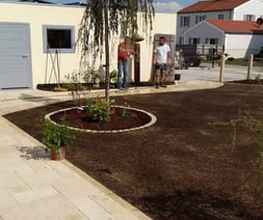 DOMUS Haus- & Objektservice Bild 6