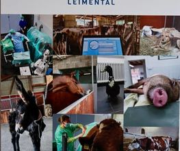 Tierklinik Leimental Bild 4