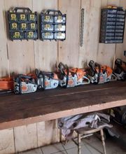 LE BOIS DES MARAIS image 1