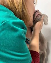 Arca Veterinaria imagen 2