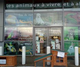 Animalis Beynost image 1