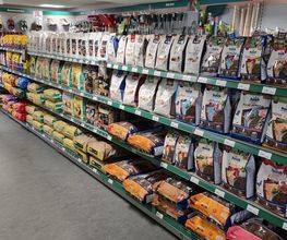 Kiebitzmarkt Tettenborn Bild 9