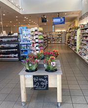 budni - Segeberger Straße Bild 7