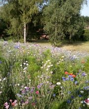 GC Jardins Gilles Chazal image 6