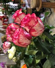 Fleurs d'Amandine image 2