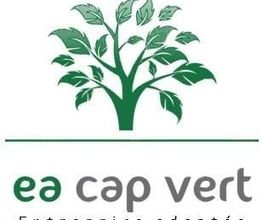 EA Cap Vert image 1