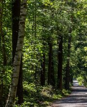 FriedWald Dudenhofen Bild 15