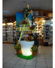 Linden Apotheke Bild 4