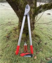 Gartenservice Mark Miess Bild 56