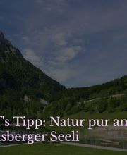 Gastro Ferrante Bild 5