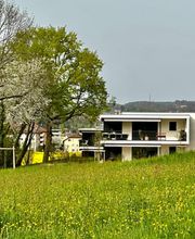 Dominique Baldi Entreprises SA Bild 2