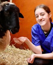 Tierklinik Leimental Bild 5