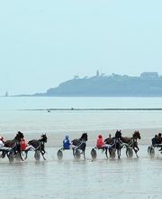 Château des Forges image 9
